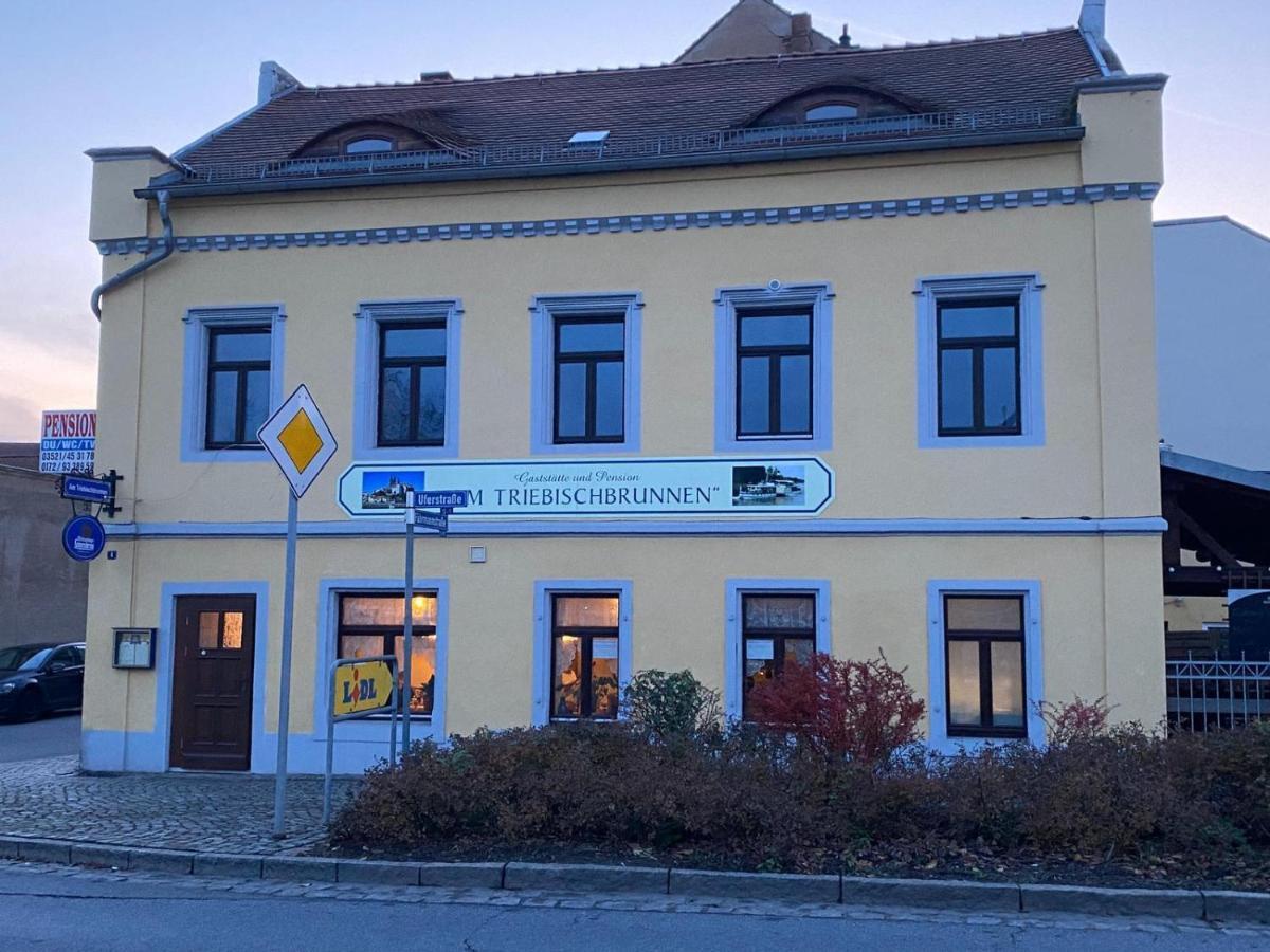 Am Triebischbrunnen * Meißen